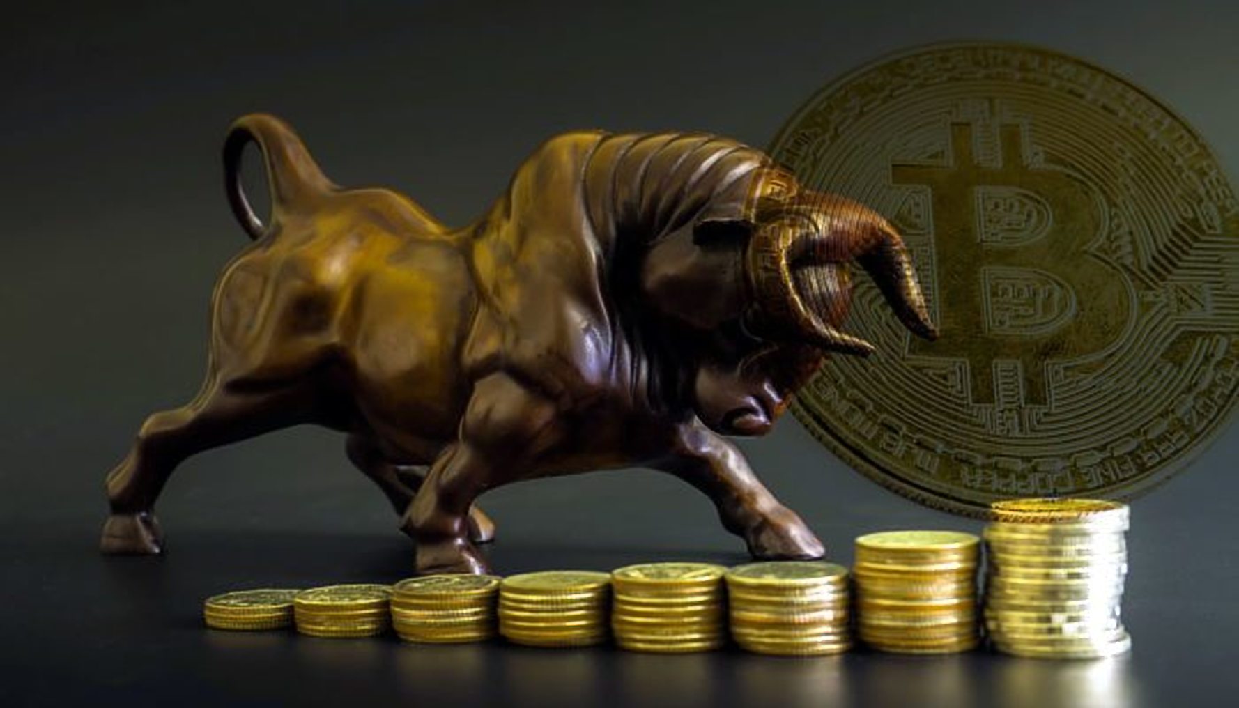 bitcoin 2022 bull